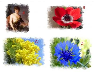 L'illustration nommée « A » est en lien étroit avec l'illustration représentée en : (Indice : La fleur d'Adonis)