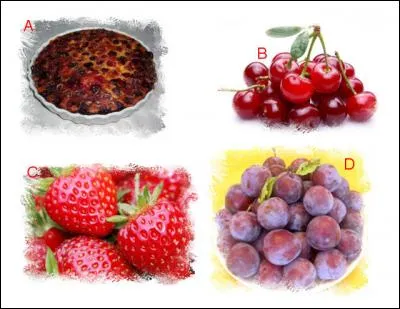 L'illustration nommée « A » est en lien étroit avec l'illustration représentée en : (Indice : Montmorency)