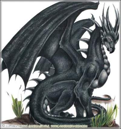 Quel est ce dragon ?