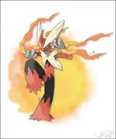 Quel est ce Pokémon (méga évolution) ?