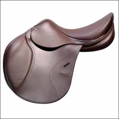 Est-ce une selle de dressage ou de saut ?