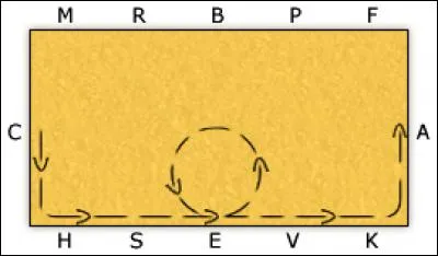 Quelle est cette figure ?