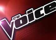 Quiz The Voice dans le monde