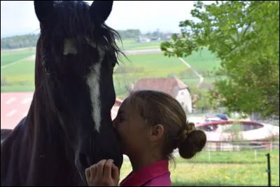 Comment se nomme la trace blanche qu'un cheval a (souvent) sur le "front" ?