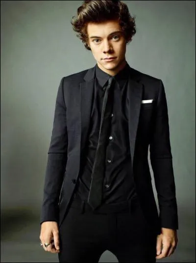 Quelle phrase Harry dit-il souvent en français ?