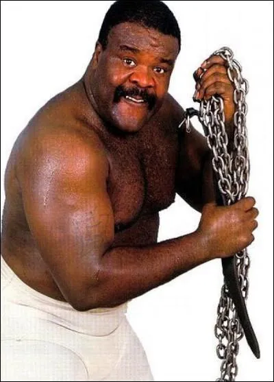 Qui The Junkyard Dog a-t-il affronté à WrestleMania 1 ?
(Réponse unique)