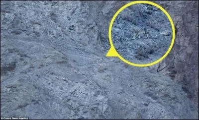 J'ai entouré en jaune l'animal en question. Car certains ne l'auraient pas vu. Quel est cet animal ?