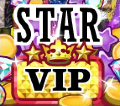 Combien y a-t-il de styles de VIP ?