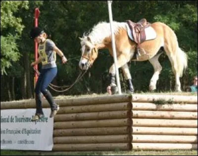 Quelle est la discipline représentée sur la photo ?