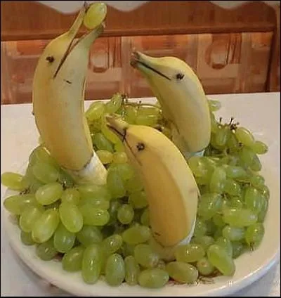 Que sont ces trois mammifères ?