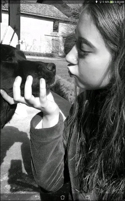 Quel est son réseau social préféré ?