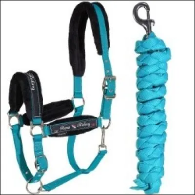 Le licol sert pour...