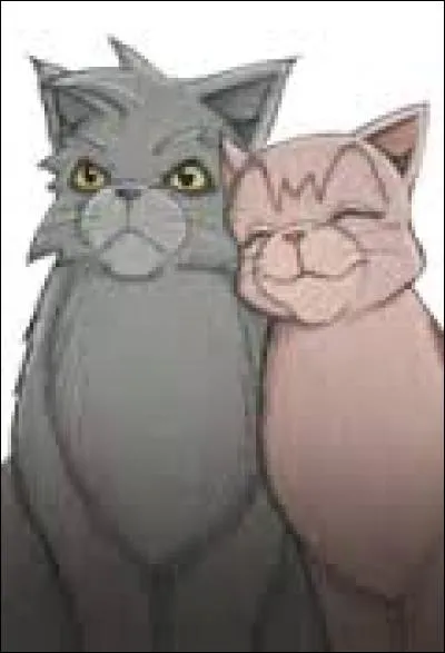 Dans le cycle 2 tome 3, qu'est-ce qu'il arrive à Plume Grise lors d'un sauvetage ?