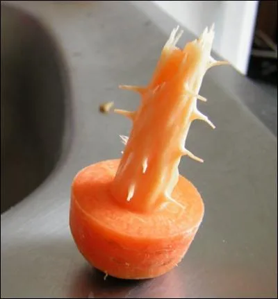 Et encore celle-là !