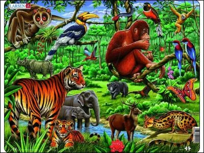 Compte les oiseaux perchés.