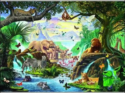 Où sont les deux girafes ?