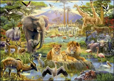 Où est l'oiseau rouge et noir ?