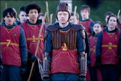 Quel est le rôle d'Harry Potter dans l'équipe de quidditch ?