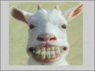 Comment dites-vous "S'il vous plaît" en italien ?