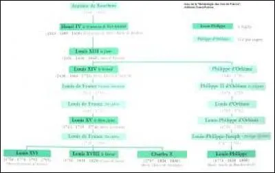 Qu'est-ce que la généalogie ?