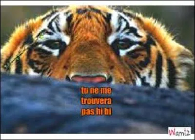 Quelle est l'espèce de tigre la plus répandue dans la nature ?