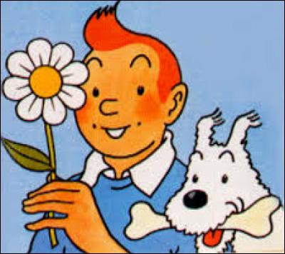 Bande dessinée : Comment s'appelle le chien de Tintin ?