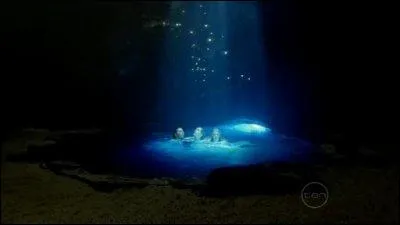 Que sont-elles devenues dans une grotte sous-marine ?