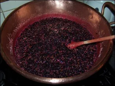 Quel est cet arbuste dont les fruits sont consommables cuits, mais nocifs crus ?