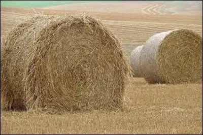 Qu'est-ce que de la paille ?