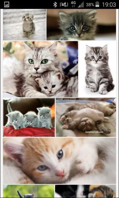 Qui est Felicity maintenant ?