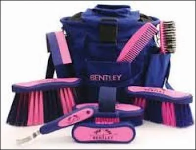 Comment appelle-t-on l'ensemble des brosses ?