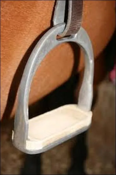 Comment appelle-t-on cette partie de la selle ?