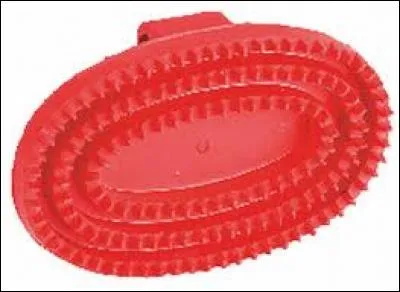 Comment appelle-t-on cette brosse ?