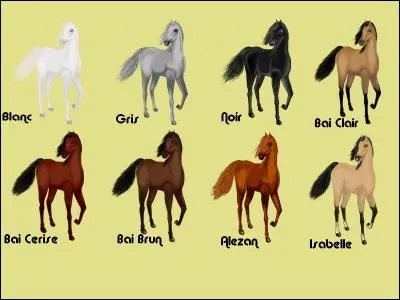 Donne-moi l'ordre de ces robes ?