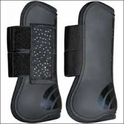 Comment appelle-t-on cet objet équestre ?