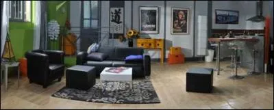 Cet appartement est celui de :