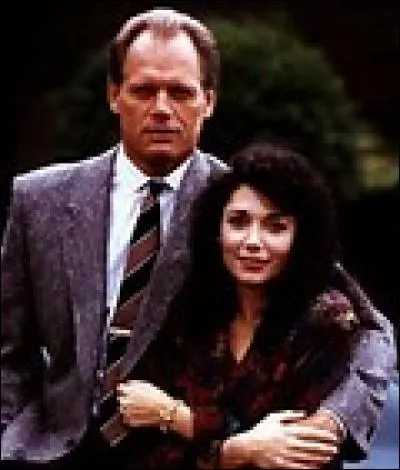 Quel est le titre de cette série ?