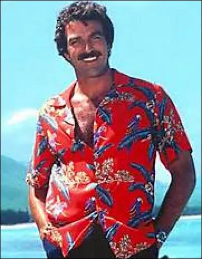 Quel est le titre de cette série ?