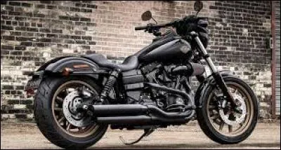 Comment surnomme-t-on les Harley ?