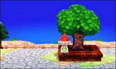 Que se passe-t-il si vous vous asseyez sur la bordure de l'arbre que vous avez planté en arrivant dans la ville ?