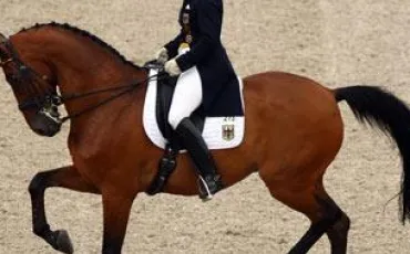 Quiz Galop 2