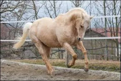 Pour que le cheval puisse s'exprimer en liberté, l'impulsion est :