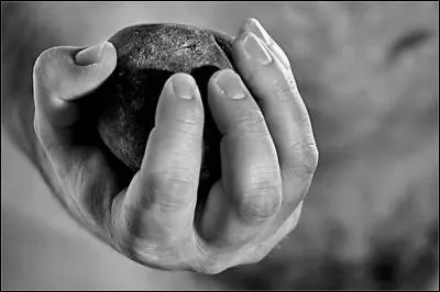 Dans quel film peut-on entendre cette r&eacute;plique : "Il ne faut pas lui jeter la pierre, Pierre" ?