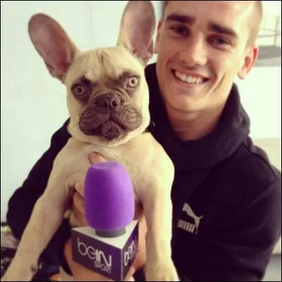 Comment s'appelle le chien d'Antoine Griezmann ?