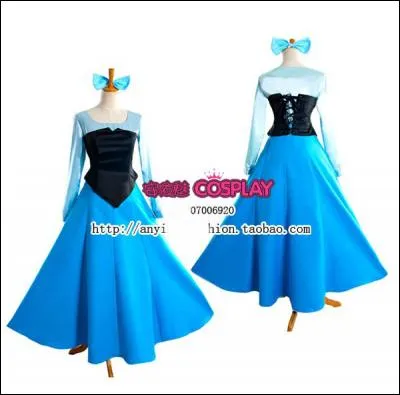 A qui appartient cette robe ?