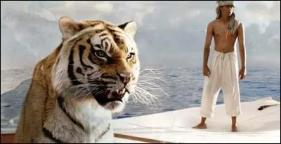 Quel est ce film racontant le périple d'un jeune garçon dérivant en mer avec pour seul compagnon un tigre nommé Richard Parker ?