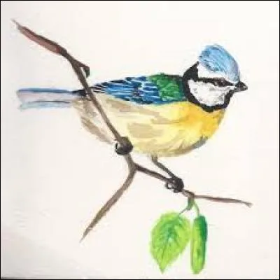 Vaste étendue d'eau salée :