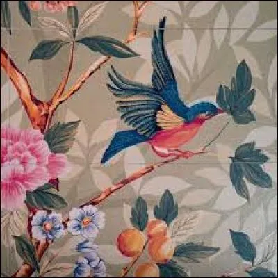 Individu de sexe masculin :