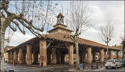 Dans quelle ville de Haute-Garonne se trouve la plus grande et la plus vieille halle de France ?