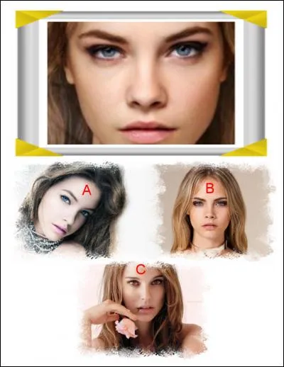 La star qui n'est pas présente sur la photo truquée est :